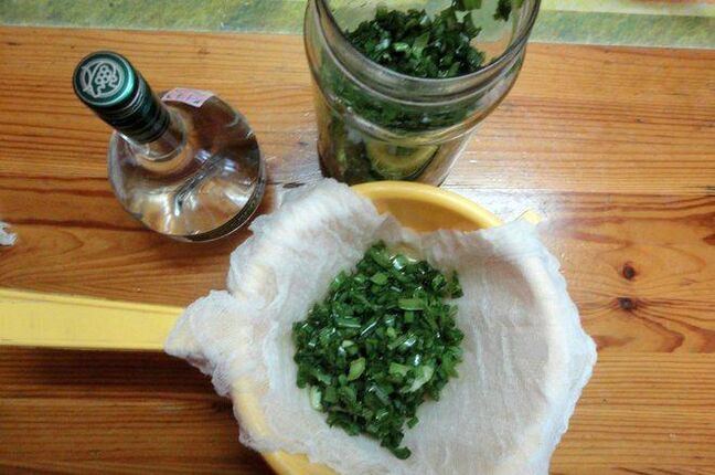 Tinktur aus Kolanchoe und Wodka